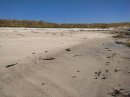 Littoral de Brignogan